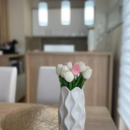 Lm * זלאטיבור